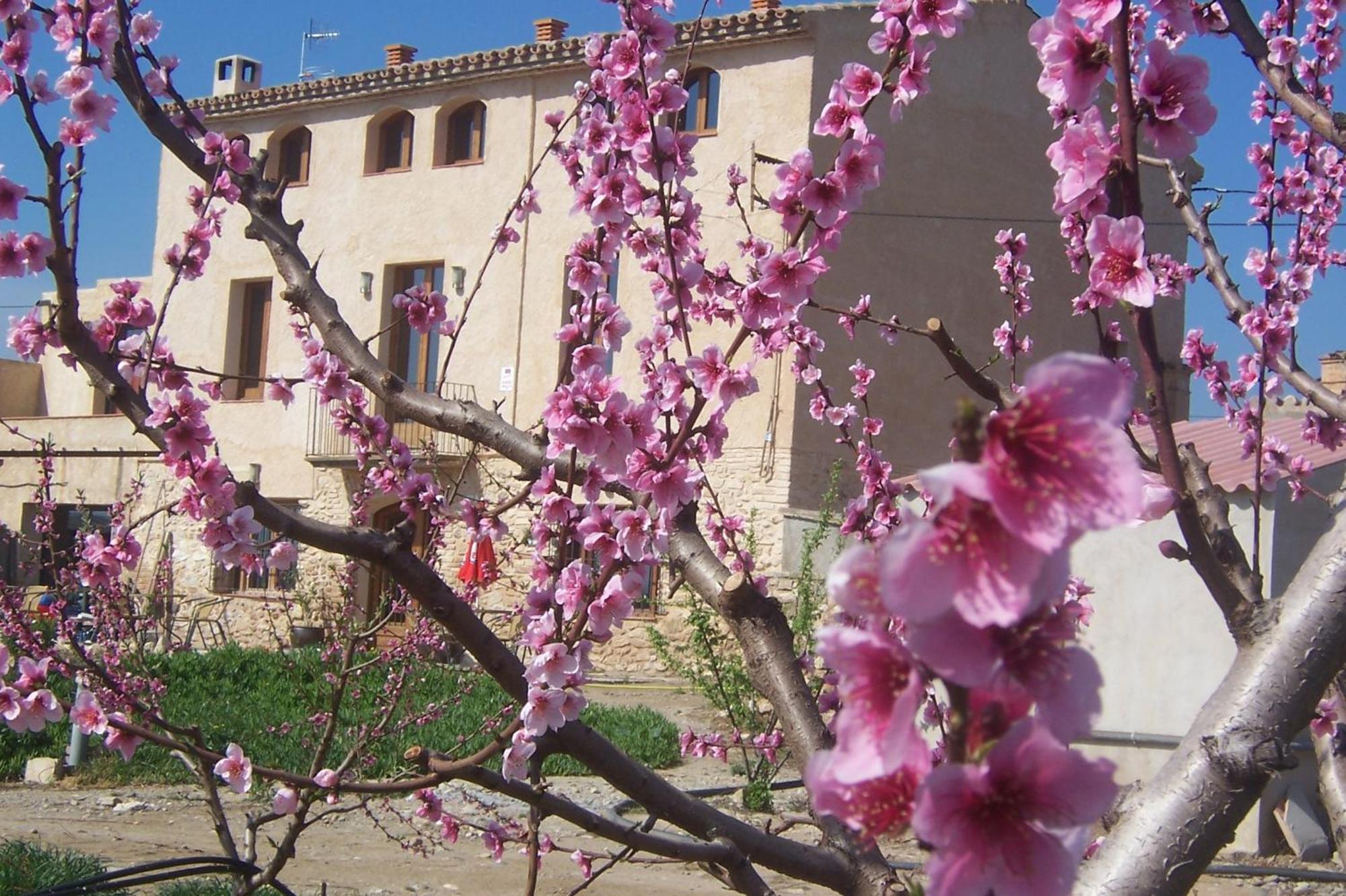 Mas Taniet Hotel Rural Benissanet Exterior photo